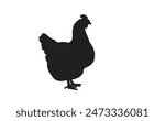 Silhouette of a female chicken. Beautiful chicken. Vector illustration