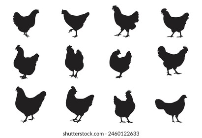 Silhouette of a female chicken. Beautiful chicken. Vector illustration