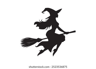 Silhouette of a female witch ride broom