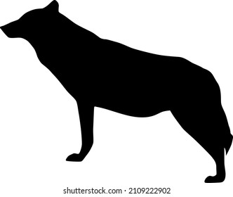 Silhouette of female wolf (Canis lupus) from side, Trendy artistic vector design isolated on white background