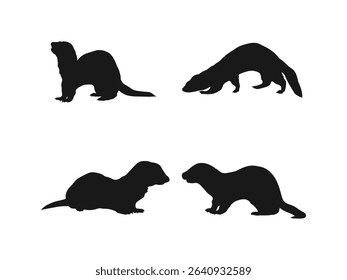 Silhouette of a ferret animal vector illustration. Ferret vector, Ferret Bundle, Weasel silhouette, Ferret animal vector. 
