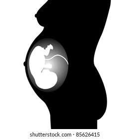 Silhouette Of The Fetus On A White Background