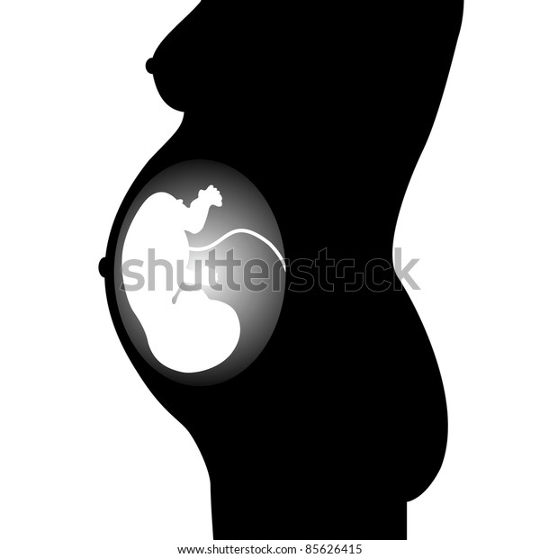 Silhouette Fetus On White Background Stock Vector (Royalty Free) 85626415