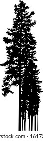 Silhouette of few pine trees. Hand made.