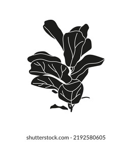 Silhouette de un arbusto ficus. Hojas onduladas de Ficus lyrata. Ilustración del vector aislada en un fondo blanco