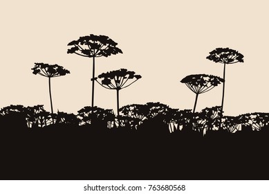  Silhouette of field