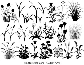 Silhouette Of Field Flowers And Grass, Butterfly, Hand Drawn Vector Illustration