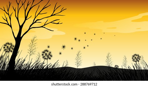 Silhouette field with grass and dry tree