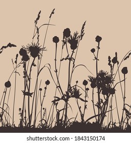 silhouette of field grass with flowers and ears. Vector illustration seamless horizontally