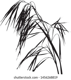 Silhouette of field grass. Spicy herb. Sweet grass. Spikelet in the wind. Meadow grass. Isolated vector illustration Black on white.