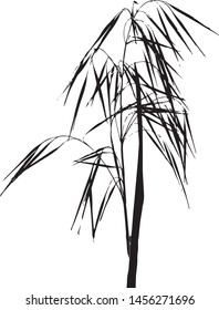 Silhouette of field grass. Sweet grass. The drooping spike. Meadow grass. Medicinal plant. Spice. Isolated vector illustration Black on white. Hierochloe odorata.