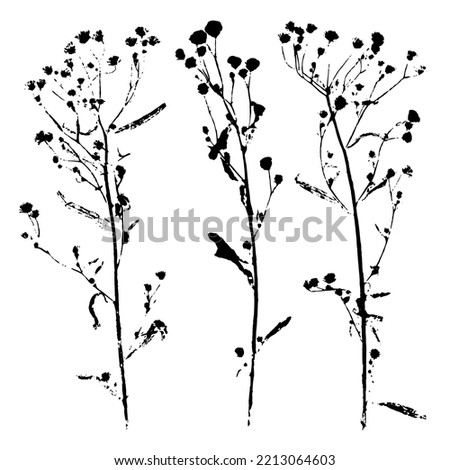 Silhouette of field grasses with small flowers and thin stems. Ink print of grass texture, isolated on white background. Set of natural elements for eco design. 