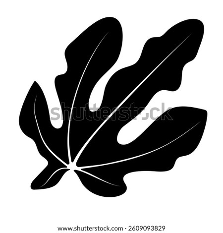 Silhouette of a Fig Leaf Showcasing Its Distinctive Shape and Intricate Details Against a Clear Background