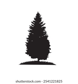 silhouette of a fir tree with a grass base