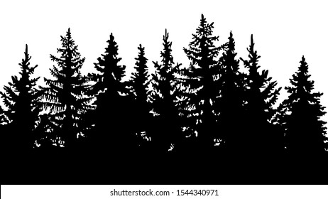 silhouette of fir trees, forest landscape. On white background