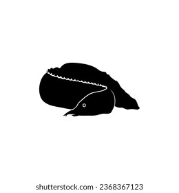 Silhouette of the fire eel (Mastacembelus erythrotaenia) is a relatively large species of spiny eel, can use for art Illustration, logo type, pictogram, website, or graphic design element. Vector 