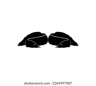 Silhouette of the fire eel (Mastacembelus erythrotaenia) is a relatively large species of spiny eel, can use for art Illustration, logo type, pictogram, website, or graphic design element. Vector 