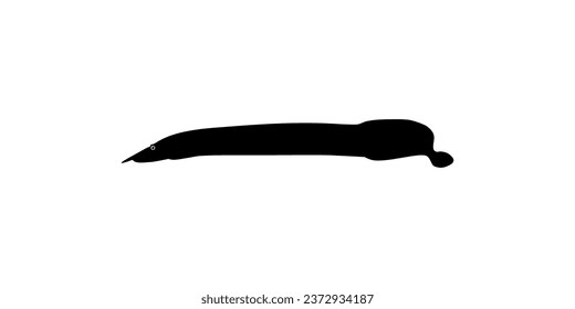 Silhouette of the fire eel (Mastacembelus erythrotaenia) is a relatively large species of spiny eel, can use for art Illustration, logo type, pictogram, website, or graphic design element. Vector 