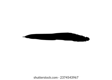 Silhouette of the fire eel (Mastacembelus erythrotaenia) is a relatively large species of spiny eel, can use for art Illustration, logo type, pictogram, website, or graphic design element. Vector 