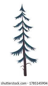 Silhouette of fir-tree. Hight green pine. Simple tree icon. Nature concept. Pine tree with needles isolated at white background. Decorative element. Plant shadow. Vector illustration