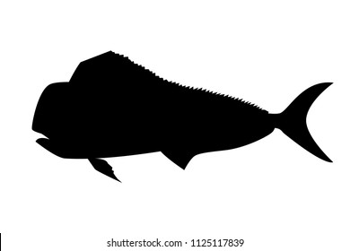 Silhouette of fish.