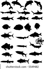 silhouette of fish