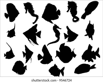 silhouette of fish