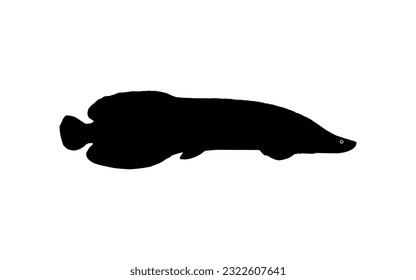 Silhouette of the Fish Arapaima, or pirarucu, or paiche, for Icon, Symbol, Pictogram, Art Illustration, Logo Type, Website or Graphic Design Element. Vector Illustration