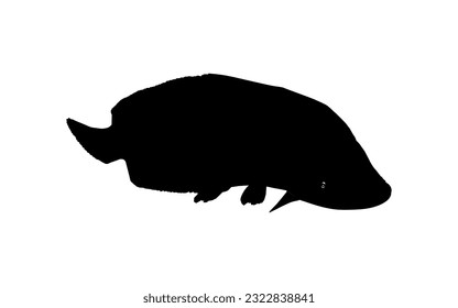 Silhouette of the Fish Arapaima, or pirarucu, or paiche, for Icon, Symbol, Pictogram, Art Illustration, Logo Type, Website or Graphic Design Element. Vector Illustration