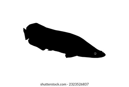 Silhouette of the Fish Arapaima, or pirarucu, or paiche, for Icon, Symbol, Pictogram, Art Illustration, Logo Type, Website or Graphic Design Element. Vector Illustration