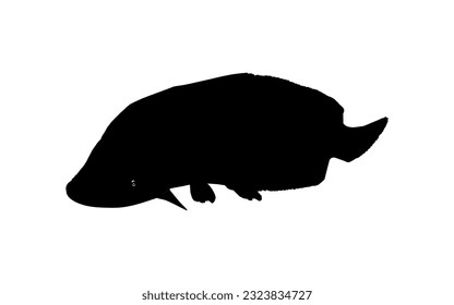 Silhouette of the Fish Arapaima, or pirarucu, or paiche, for Icon, Symbol, Pictogram, Art Illustration, Logo Type, Website or Graphic Design Element. Vector Illustration