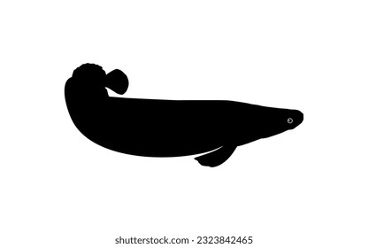 Silhouette of the Fish Arapaima, or pirarucu, or paiche, for Icon, Symbol, Pictogram, Art Illustration, Logo Type, Website or Graphic Design Element. Vector Illustration