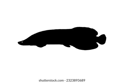 Silhouette of the Fish Arapaima, or pirarucu, or paiche, for Icon, Symbol, Pictogram, Art Illustration, Logo Type, Website or Graphic Design Element. Vector Illustration