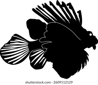 Silhouette of a fish in black and white.