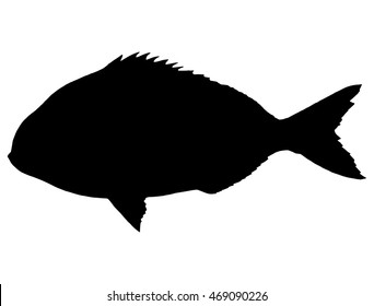 Silhouette of fish. Circuit. Sea fish. Dorado.