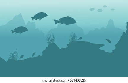 Silhouette of fish and coral reef underwater background