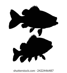 silhouette fish on a black background