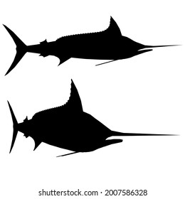 Silhouette of a fish with a pointed nose isolated on a white background. Side view. Vector illustration