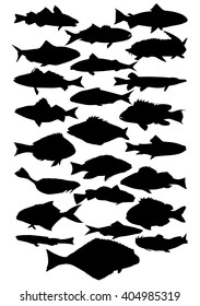 Silhouette of fish. Set contours of fish. Set. Marine life.