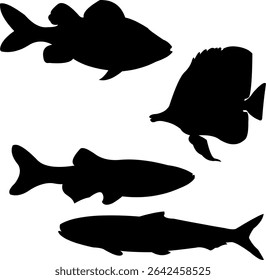 Silhouette of fish swimming in the blue ocean with natural beauty