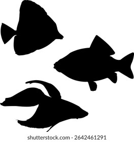 Silhouette of fish swimming in the blue ocean with natural beauty
