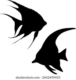 Silhouette of fish swimming with grace and speed in the sea