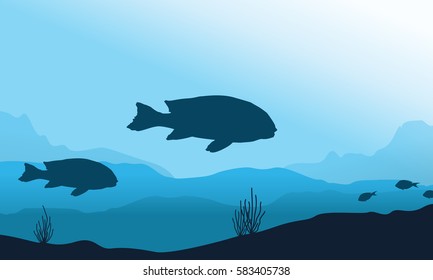 Silhouette of fish underwater landscape