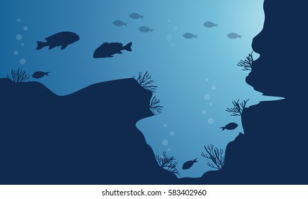 Silhouette of fish various landscape