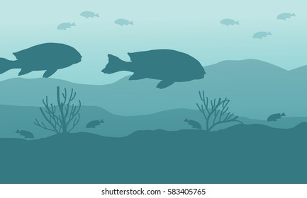 Silhouette of fish various underwater landscape