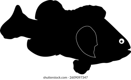 Silhouette of a fish vector