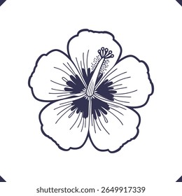 Silhueta de cinco pétalas de hibisco largas com estame central estendido, vetor de arte de linha floral, vetor de flor de alta qualidade