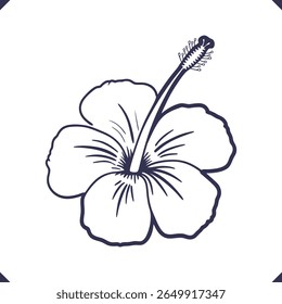 Silhouette of five wide hibiscus petals with extended central stamen, floral line art vector