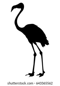 silhouette of flamingo