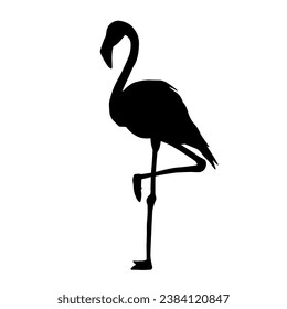 Silhouette of a flamingo bird animal in elegant pose.